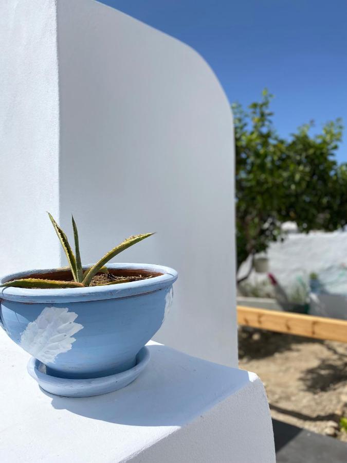 Blue Pearl Apartment Glinado Naxos Luaran gambar