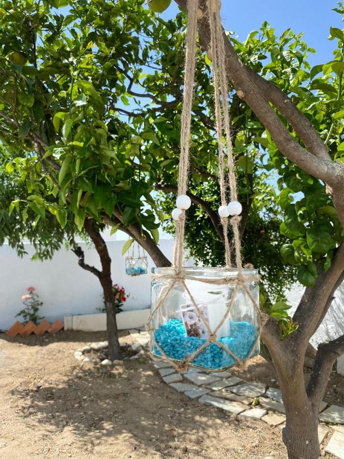 Blue Pearl Apartment Glinado Naxos Luaran gambar